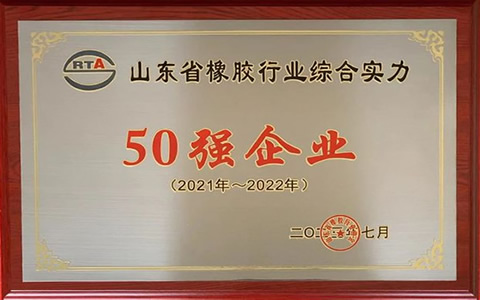 山東橡膠行業(yè)50強揭曉，濰坊順福昌橡塑公司榮膺殊榮并持續(xù)創(chuàng)新前行